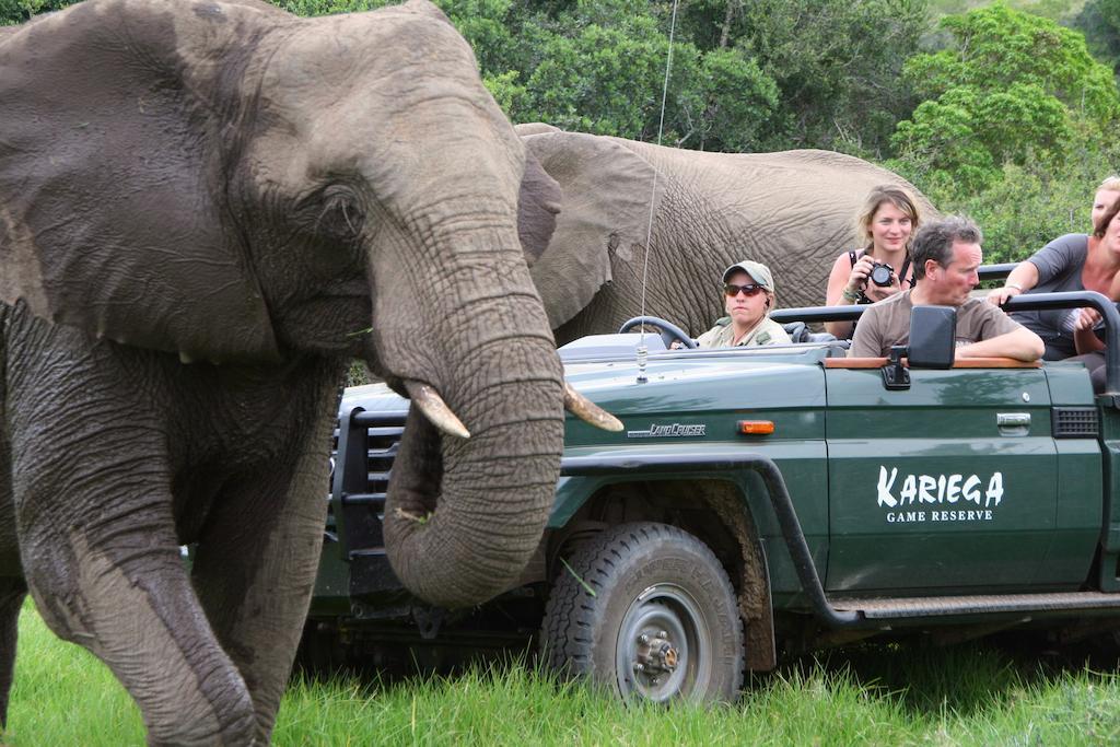 Kariega Game Reserve Main Lodge Kenton on Sea Exterior foto