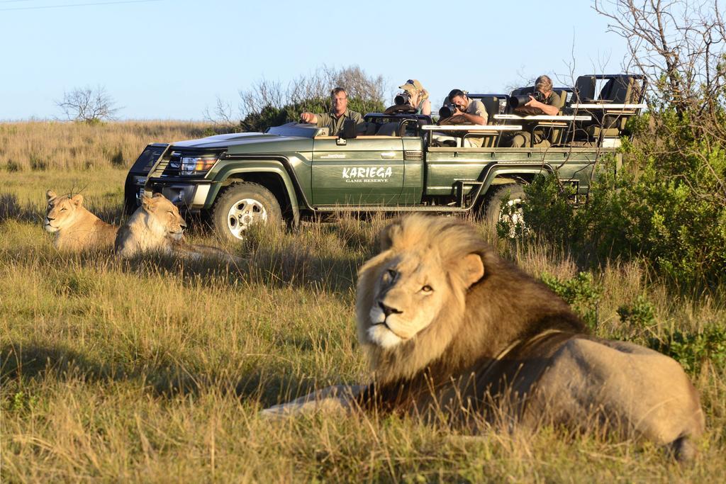 Kariega Game Reserve Main Lodge Kenton on Sea Exterior foto