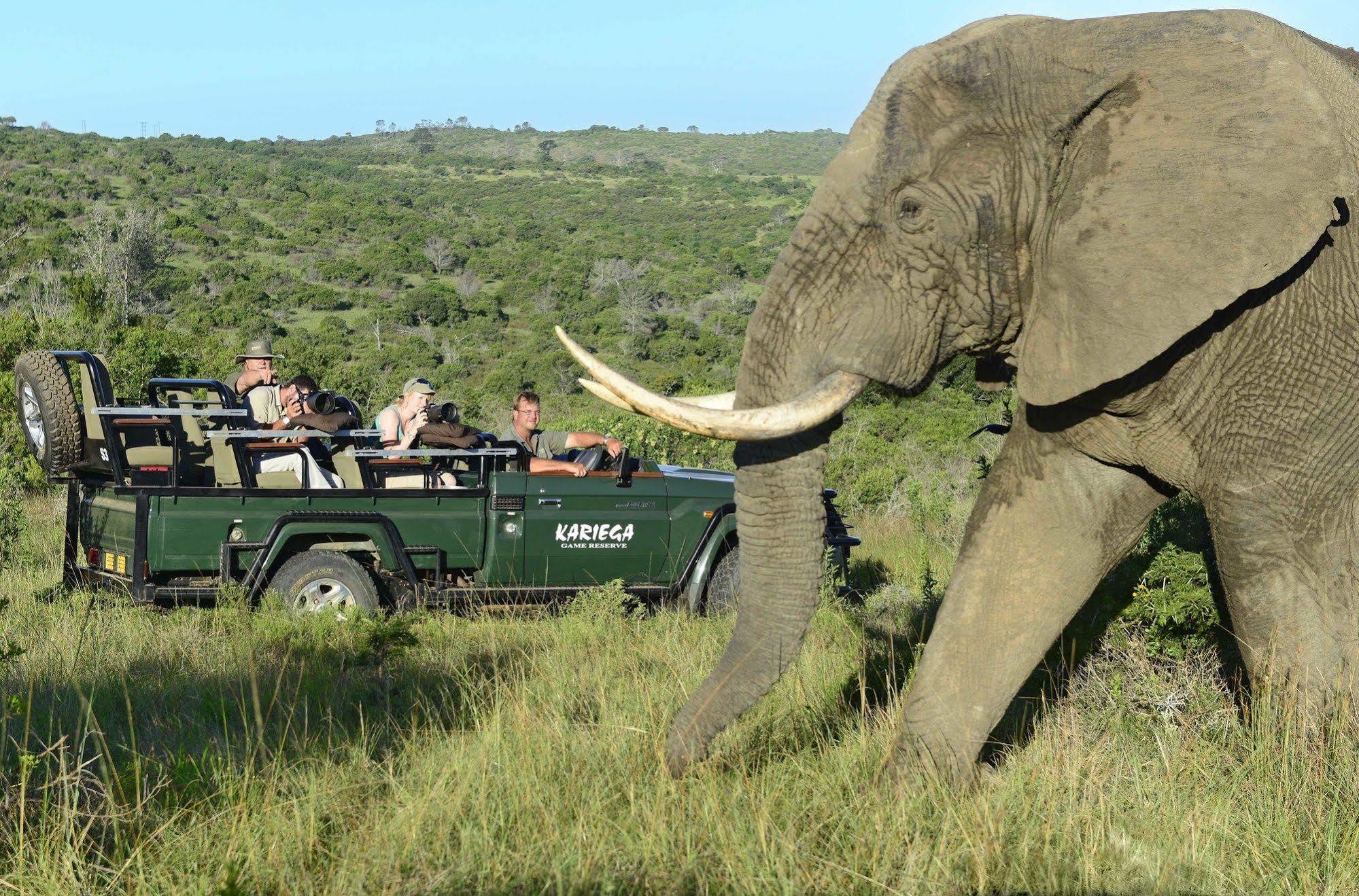 Kariega Game Reserve Main Lodge Kenton on Sea Exterior foto